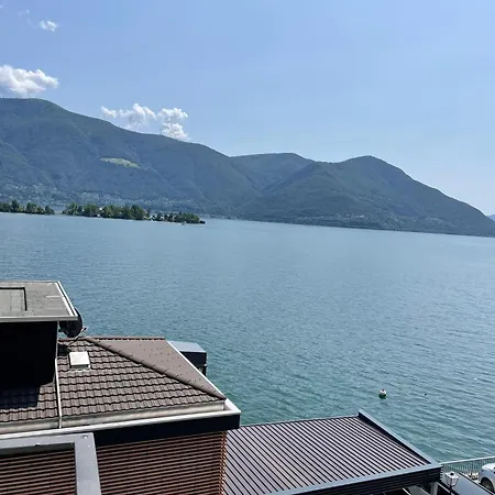 Ramarro * Ronco sopra Ascona