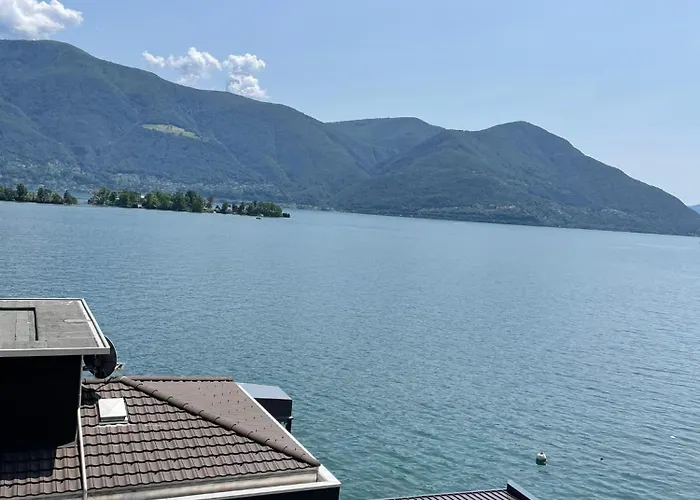 Ramarro * Ronco sopra Ascona