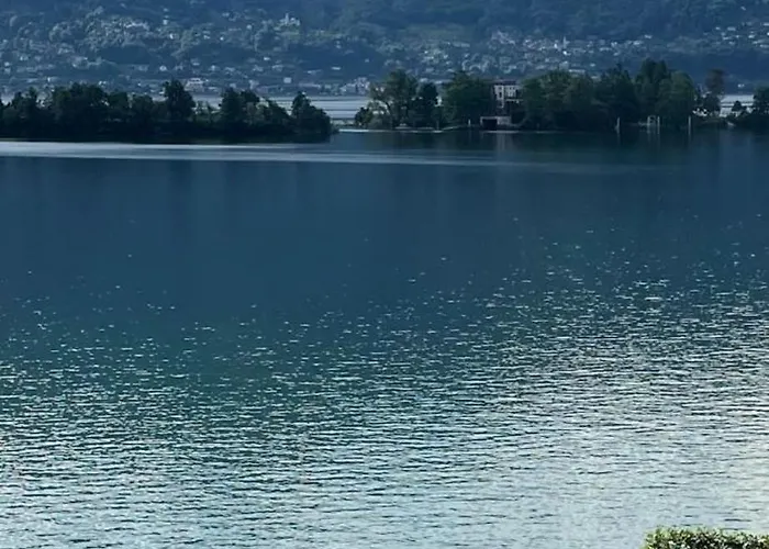 Ramarro Ronco sopra Ascona