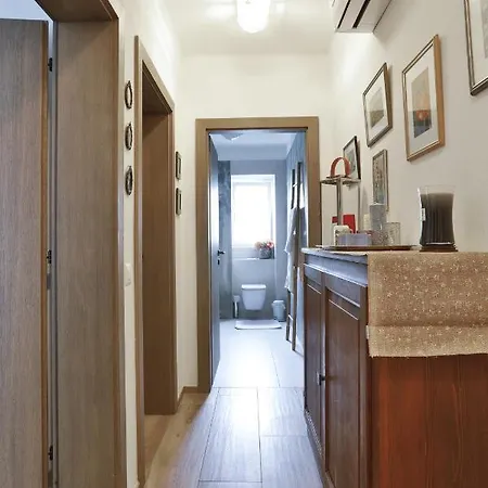 Apartament Ramarro *