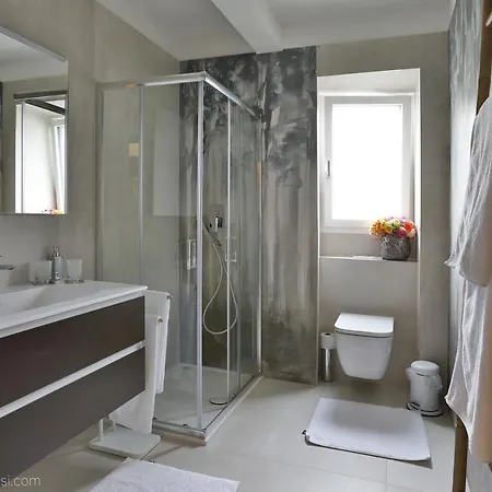 Ramarro * Ronco sopra Ascona