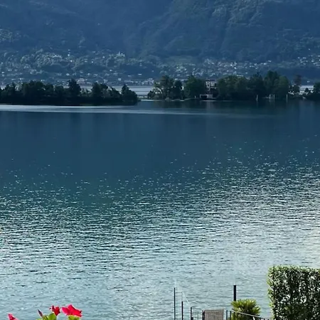 Ramarro Ronco sopra Ascona