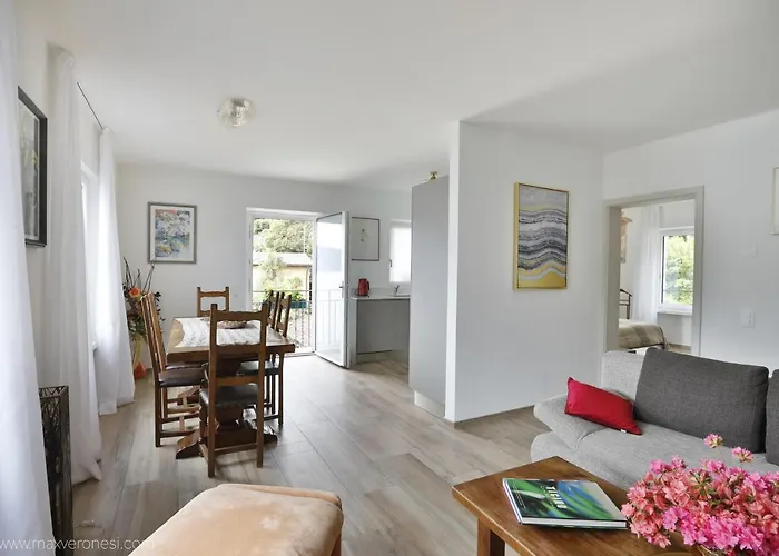 Ramarro Apartamento Ronco sopra Ascona